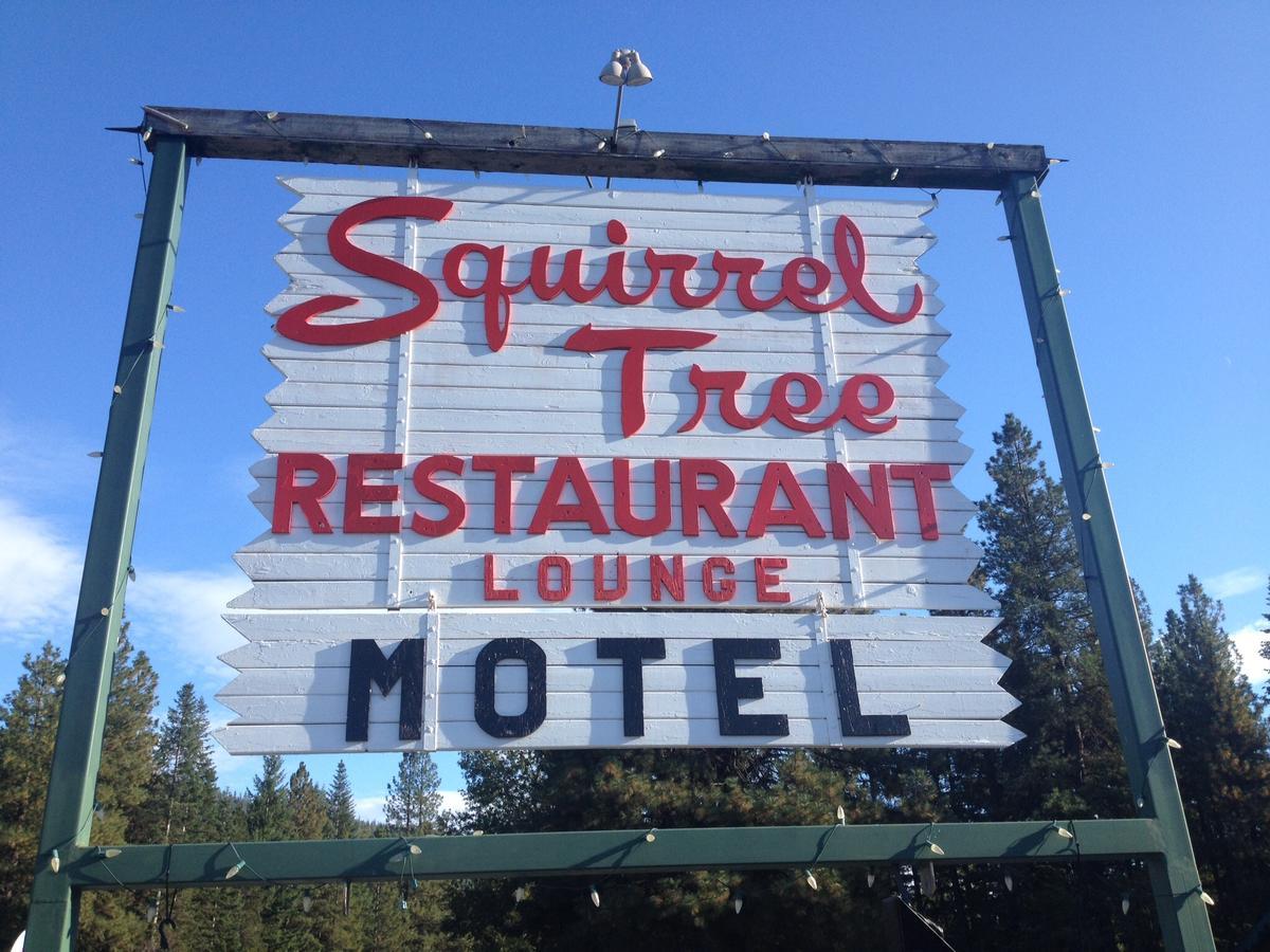 Squirrel Tree Resort Coles Corner Eksteriør billede